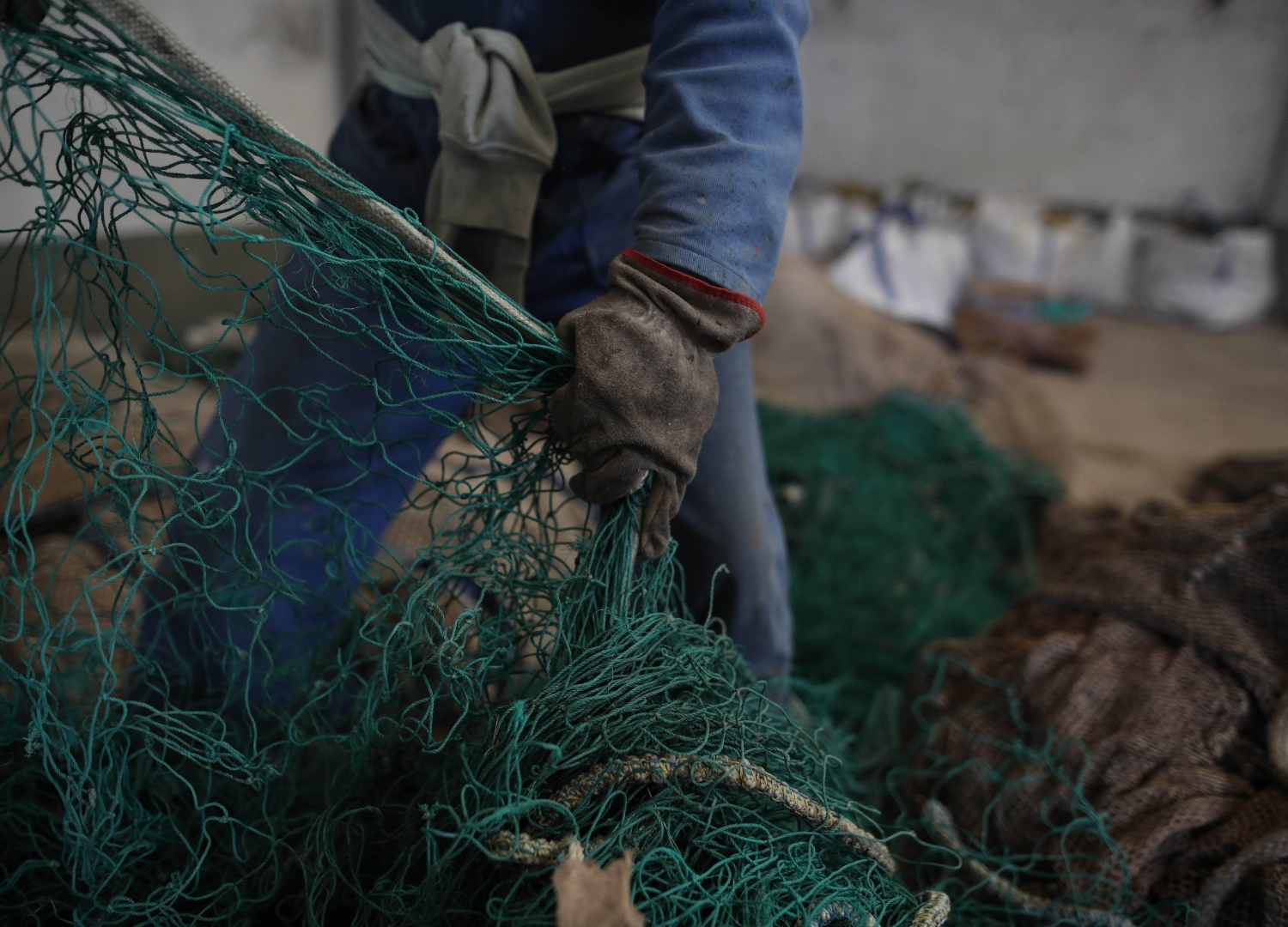 В компании Animals от BlueCycle x The New Raw
