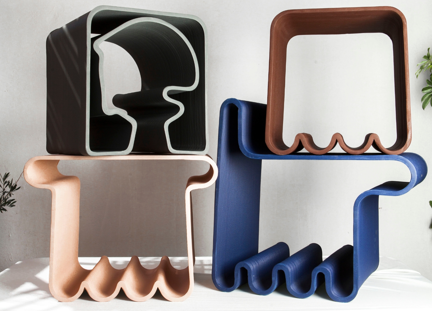В компании Animals от BlueCycle x The New Raw