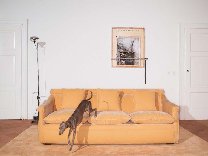 Букет из коллекции Gardens by Rubelli, дизайн Formafantasma