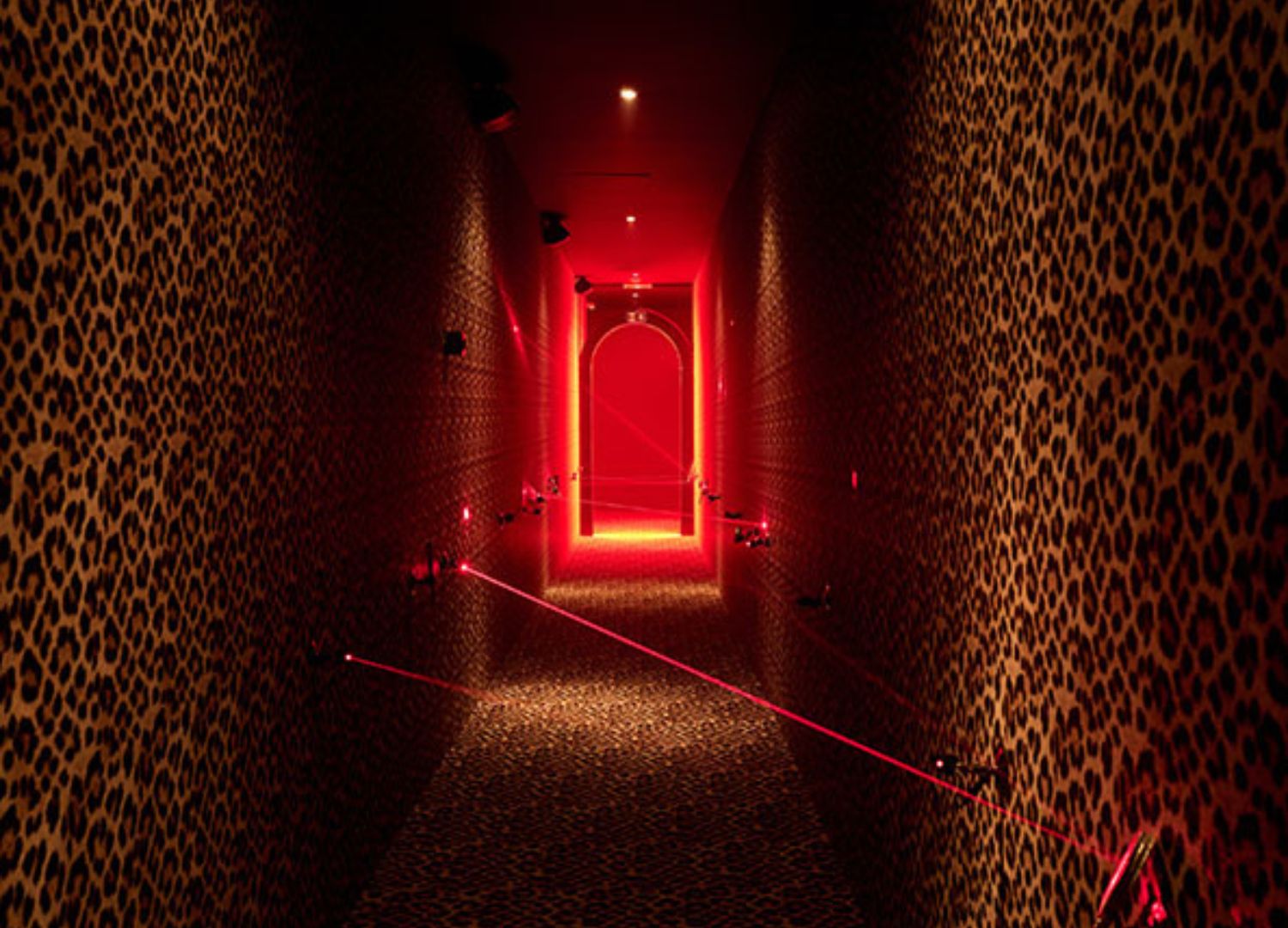 Отель Craves _ Бар Scene от SZ Design _ Журнал Architecture Collection — ADC Awards 2023