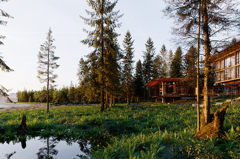 tofino beach lodge eerkes