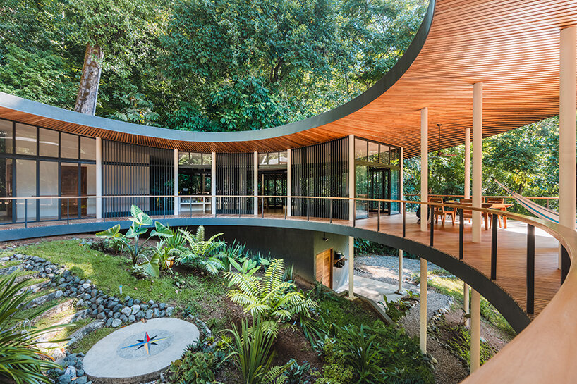 Sinfonia Verde Studio Saxe
