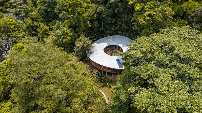 Sinfonia Verde Studio Saxe