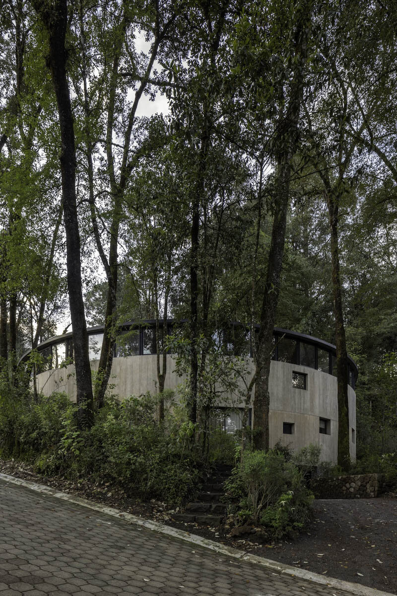 Кольцевая структура Casa Girasol направляет солнечный свет среди соснового леса в Мексике