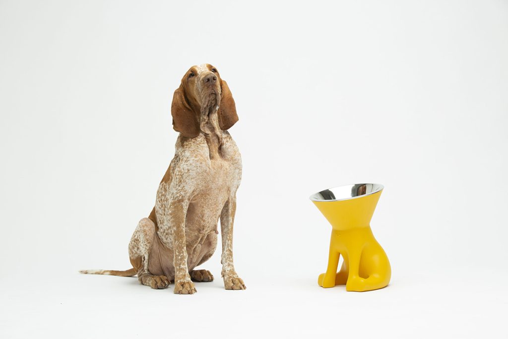 Элизабет от United Pets, дизайн Favaretto&Partners