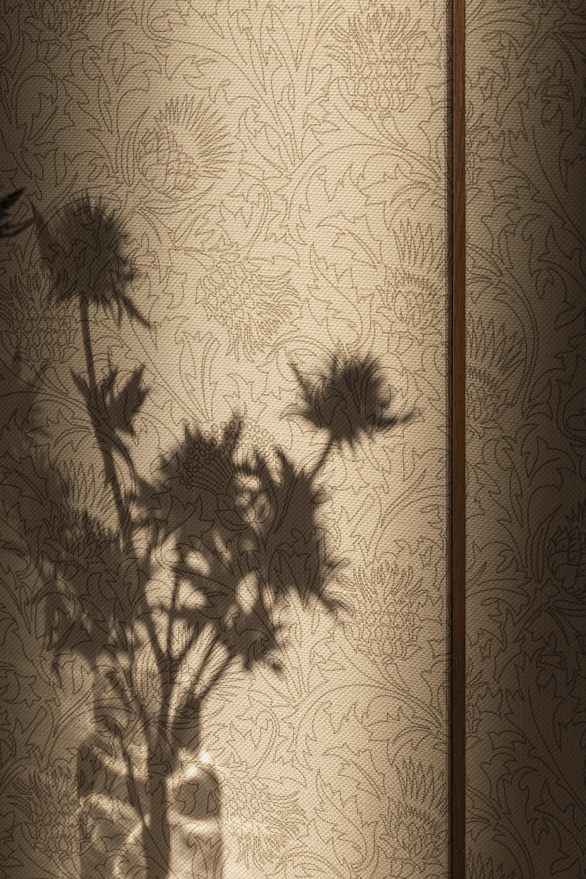 Loro Piana Interiors_2025 Capsule_Fiore di Cardo_Wallcovering