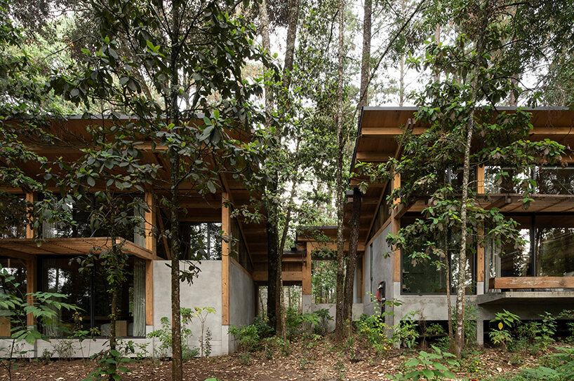 vasconcelos arquitectura san simón
