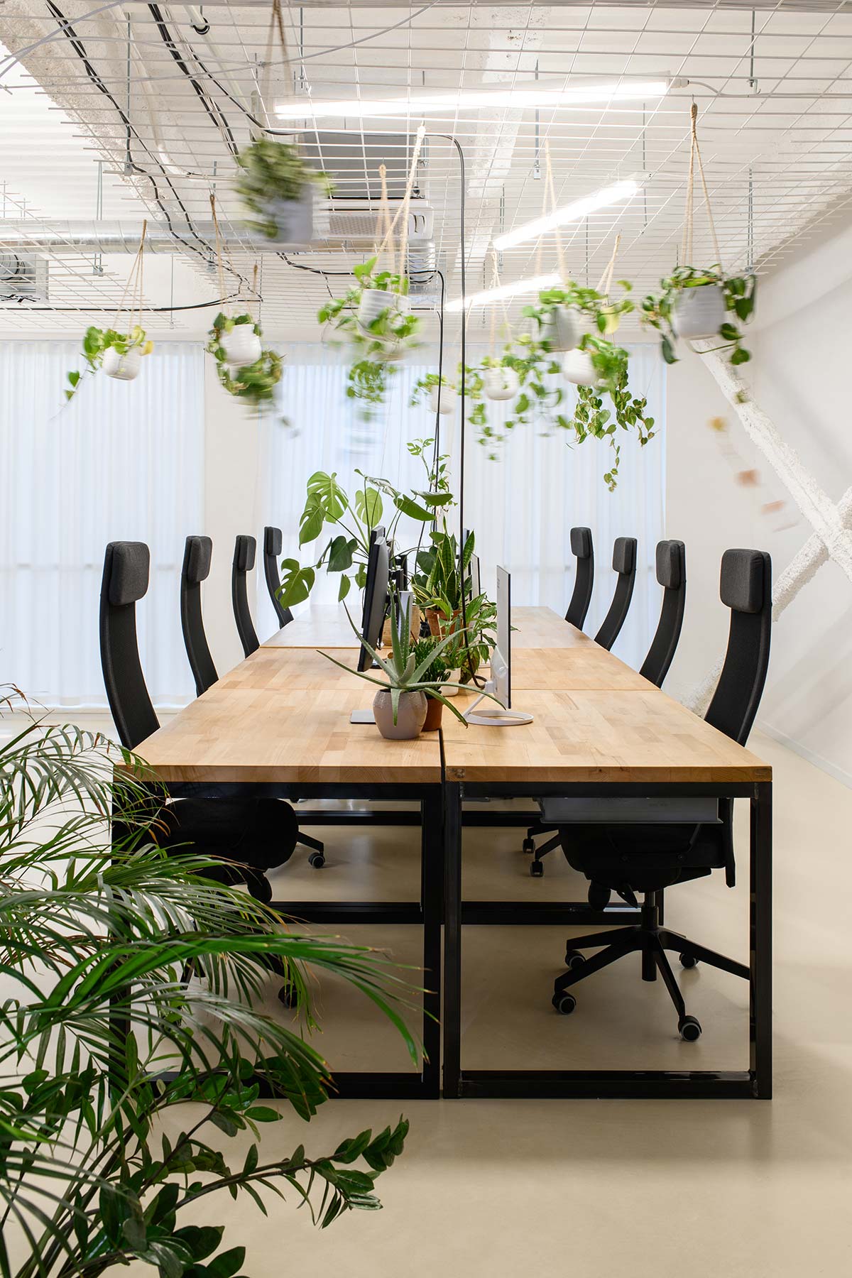 Czech Promotion, design Kurz Architects_4