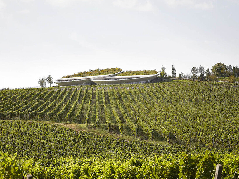 Sauska Tokaj Winery Венгрия