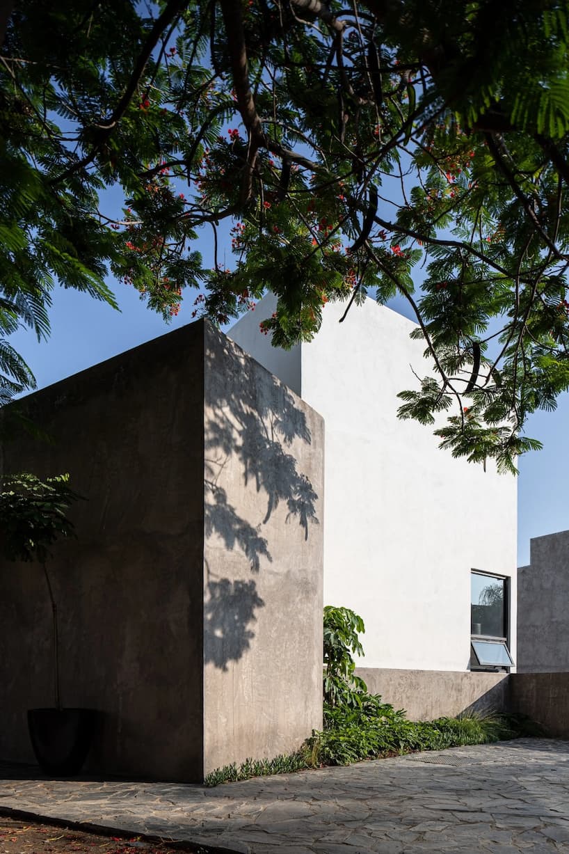 Пористость и укрытие Casa Galvez переосмысливает народ 6