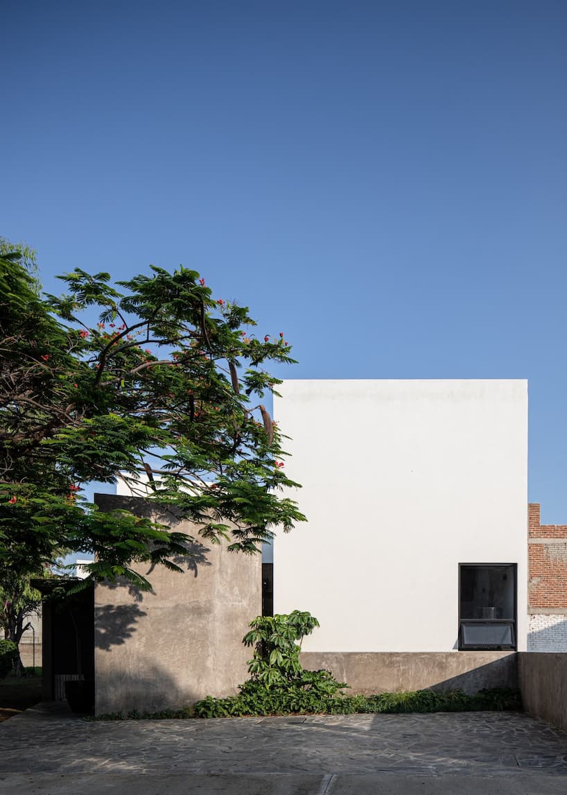 Пористость и укрытие Casa Galvez переосмысливает народ 7