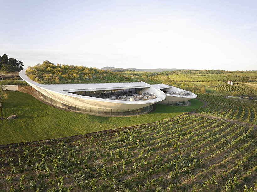 Sauska Tokaj Winery Венгрия