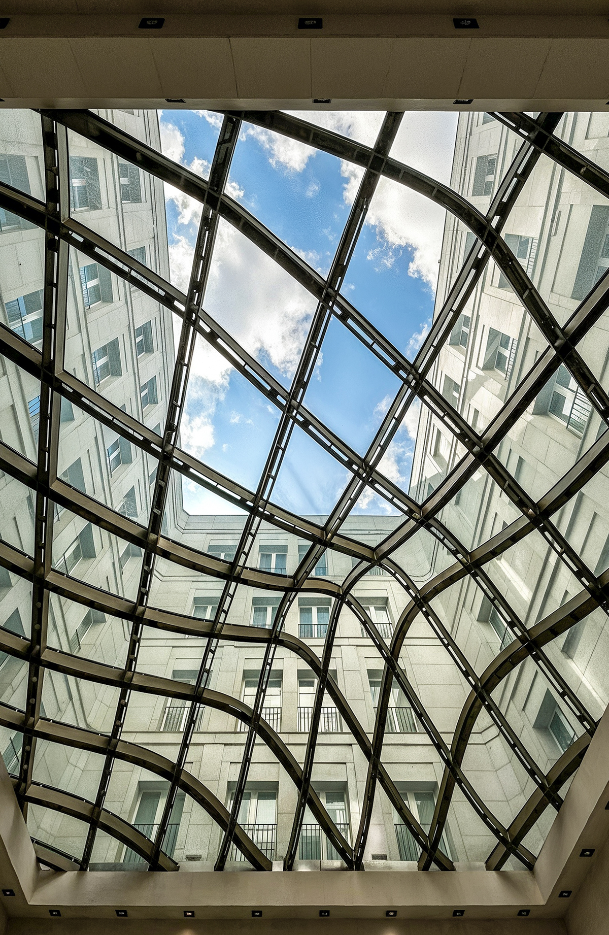 freepik__create-a-skylight-with-organic-profiles-such-as-im__26366